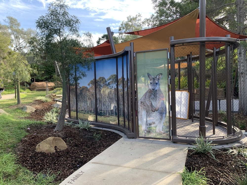 inside of walkabout exhibit, plants, sidewalk, and gate with large wallaby photo on it