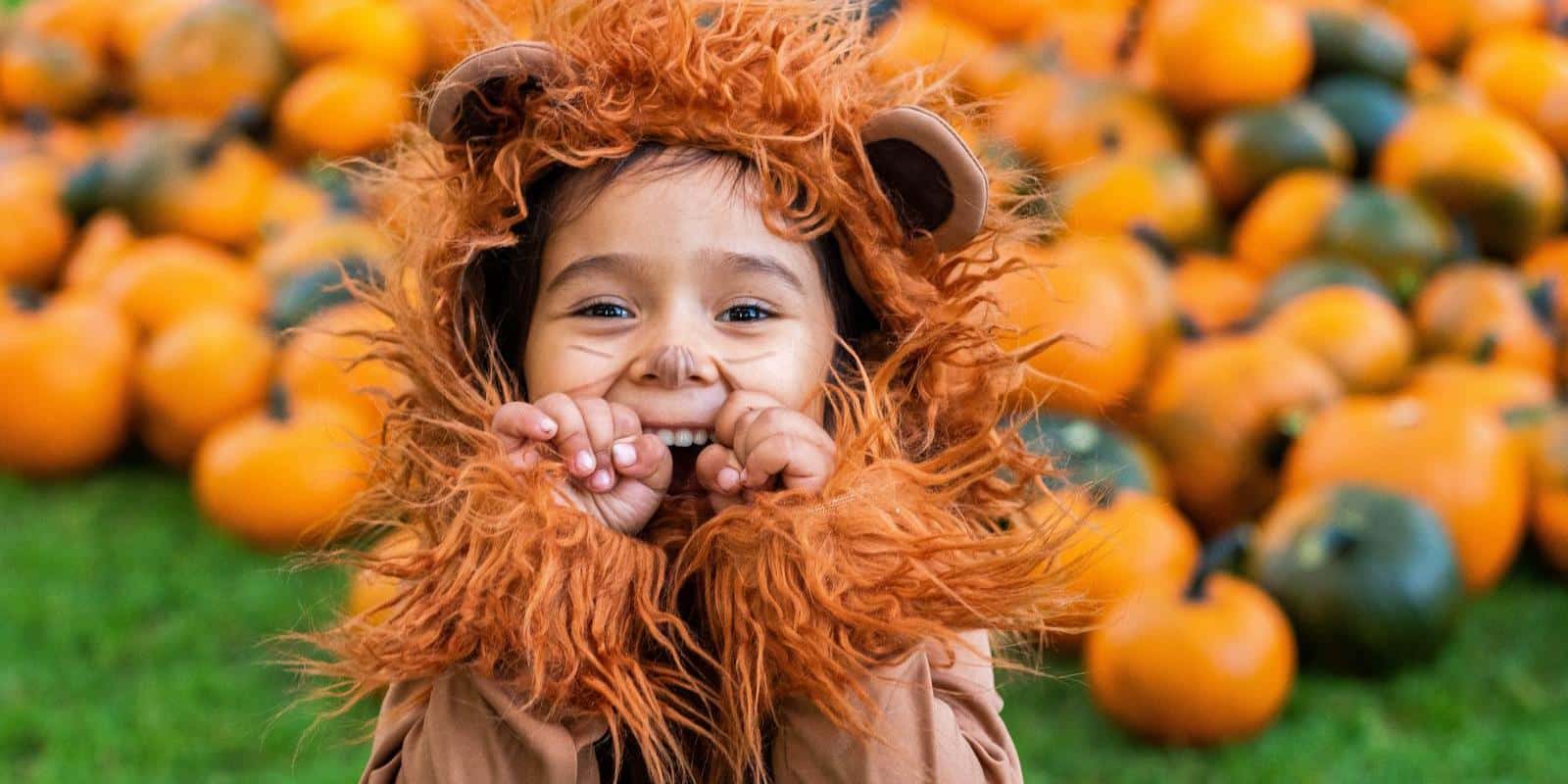 young girl dressed up as a lion sitting in a pumpkin patch, her hands are up near her face as if she is pretending to be a lion